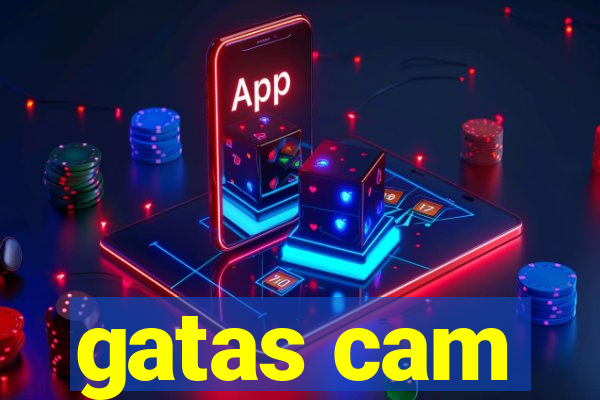 gatas cam